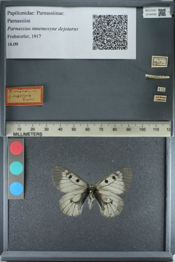 Media type: image;   Entomology 180093